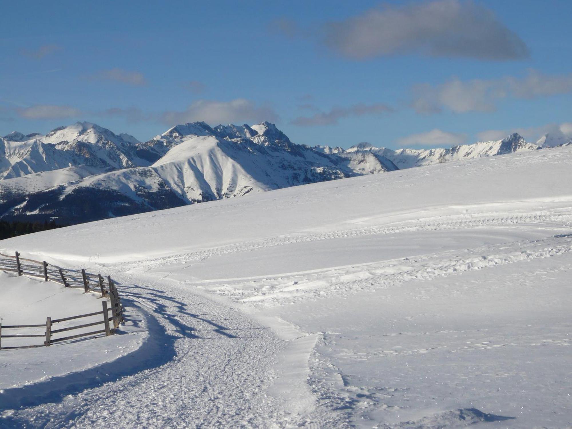 Hotel Alpenrose Rodengo