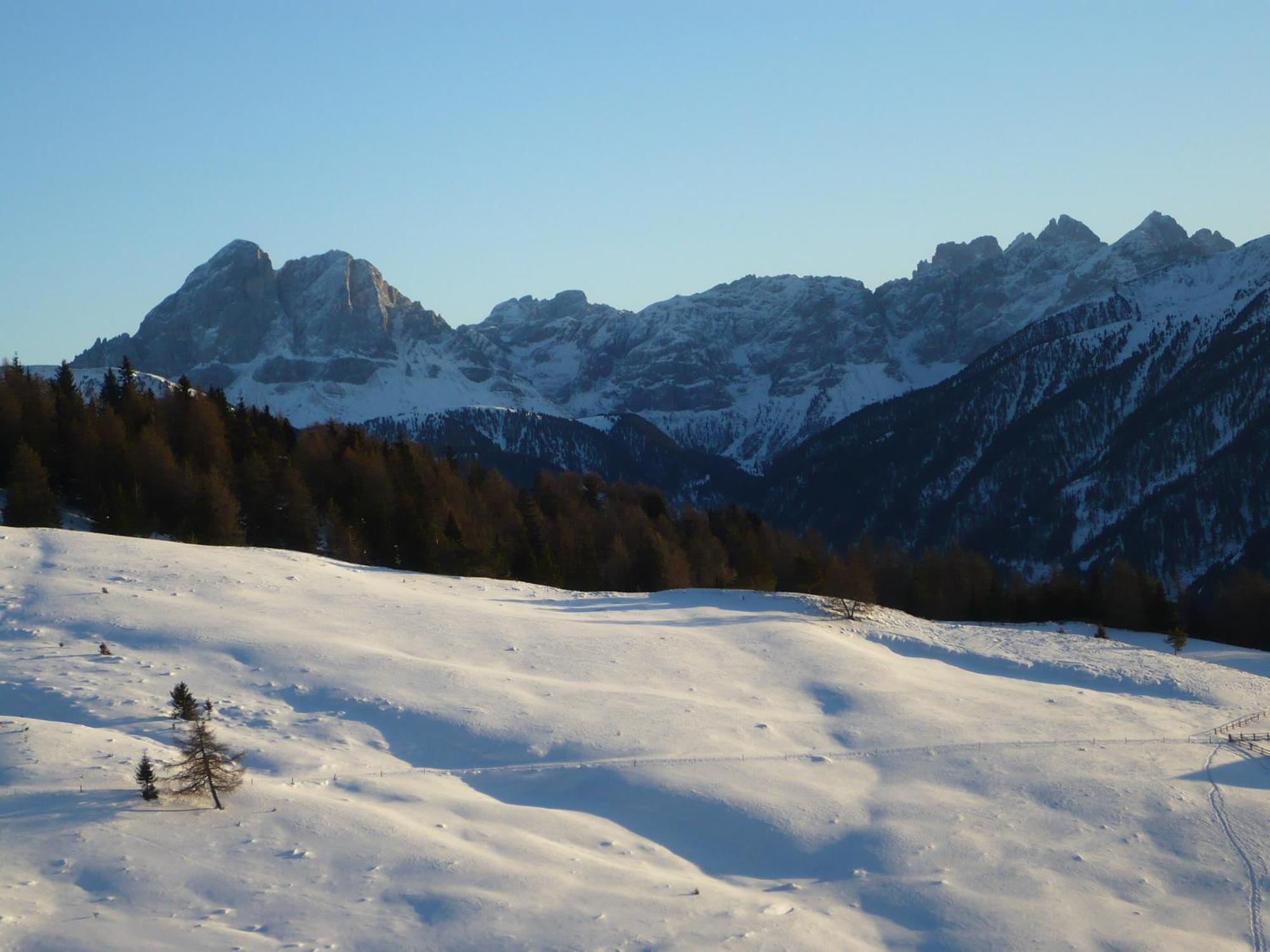 Hotel Alpenrose 3*
