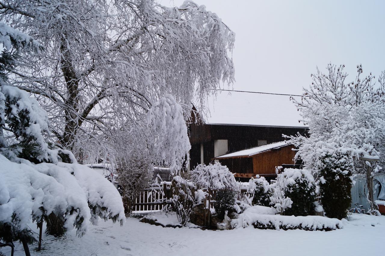 Alpenrose